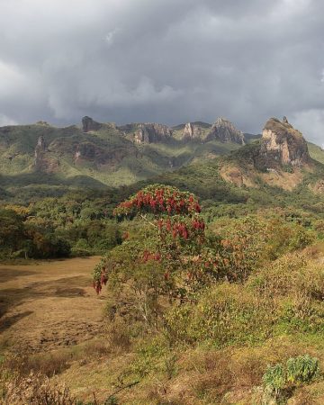 Bale Mountains 